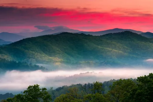 Death of a Man-Eating Monster by H.D. Ingles | HDIngles.com