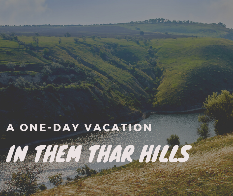 A One-Day Vacation in Them Thar Hills by H.D. Ingles