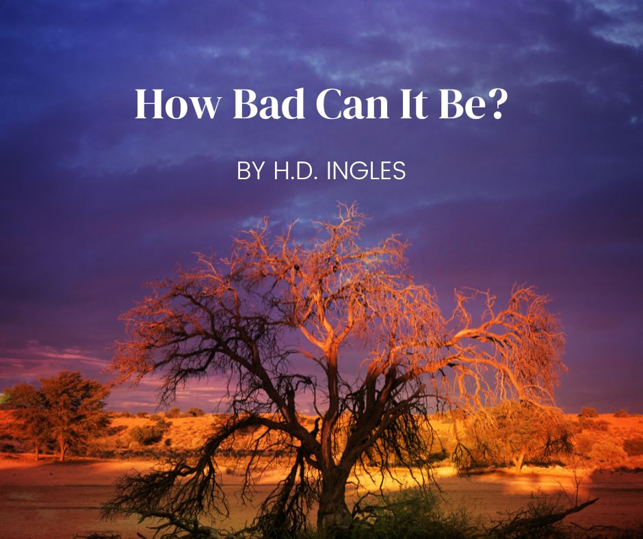 How Bad Can It Be? by H.D. Ingles