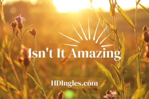 Isn’t It Amazing? by H.D. Ingles
