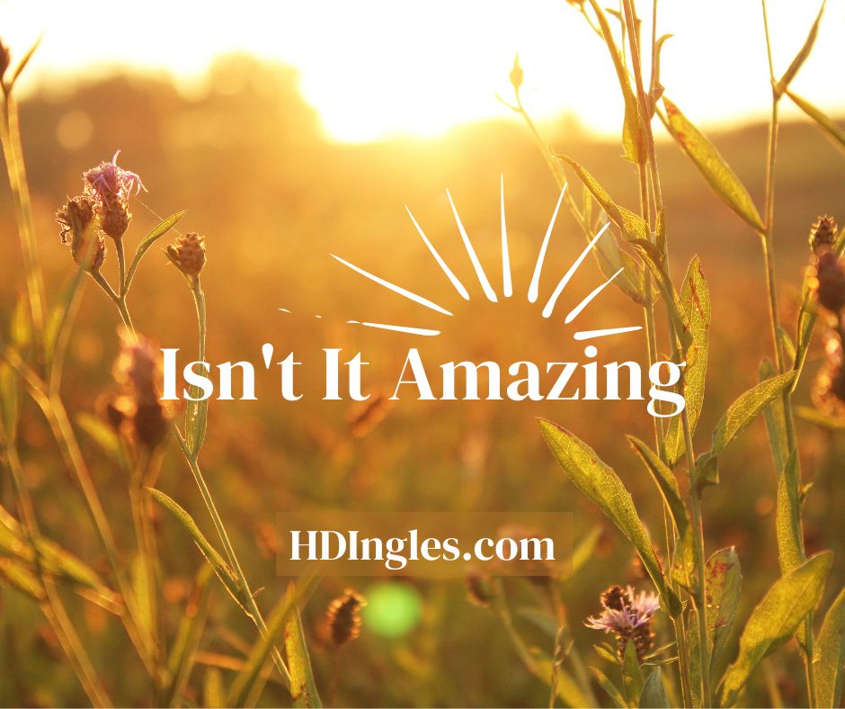 Isn’t It Amazing? by H.D. Ingles