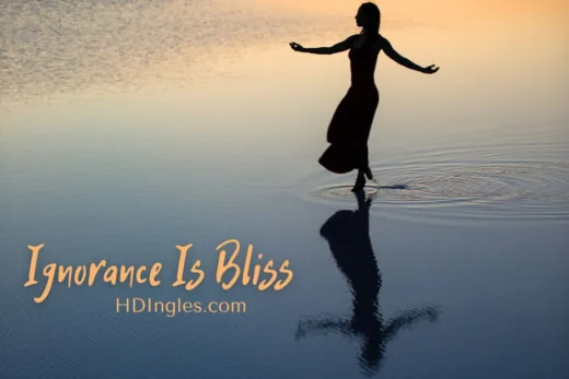 Ignorance Is Bliss by H.D. Ingles