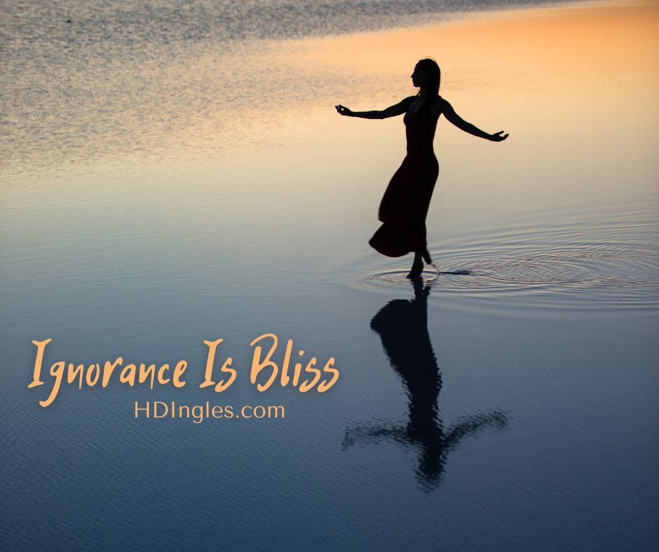 Ignorance Is Bliss by H.D. Ingles