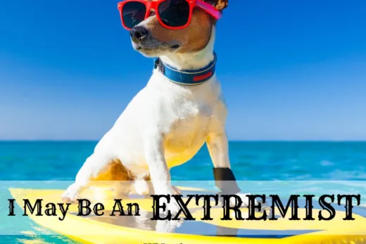 I May Be An Extremist by H.D. Ingles