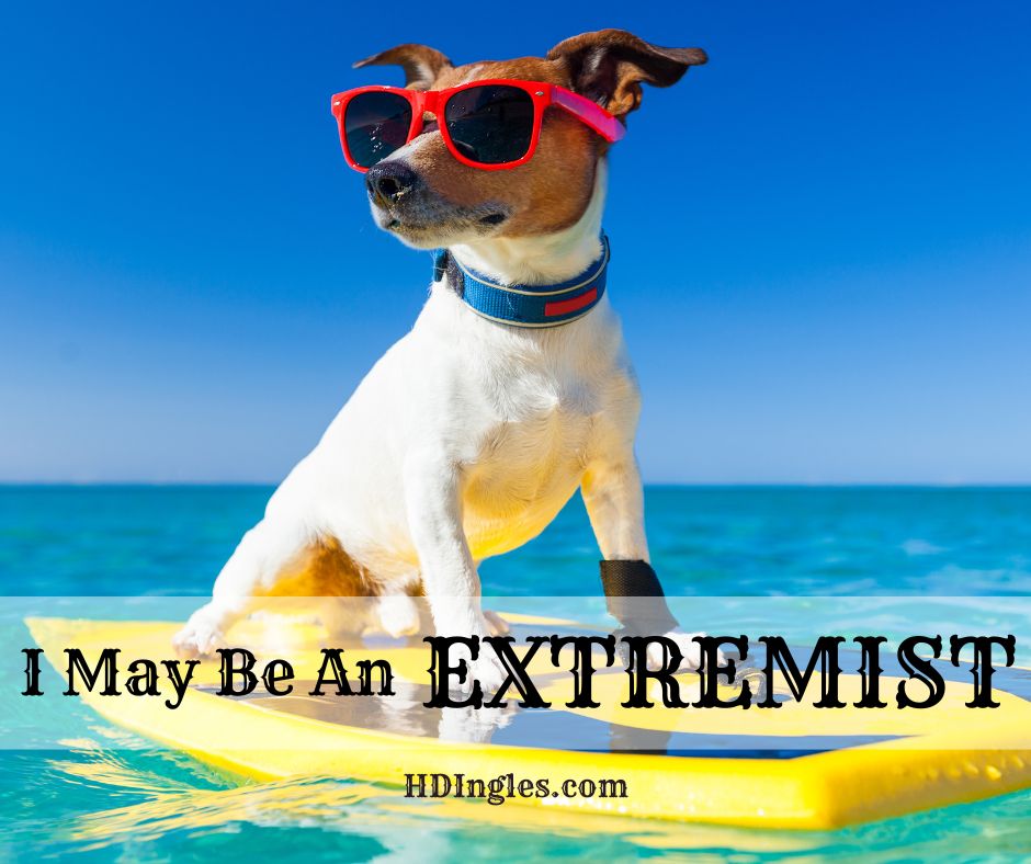 I May Be An Extremist by H.D. Ingles