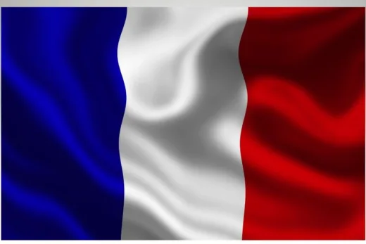 french flag